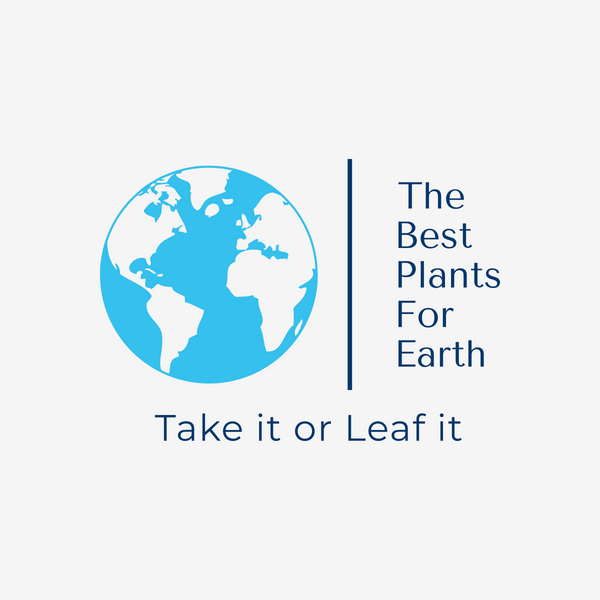 Best Plants For Earth (Health & Wellness)